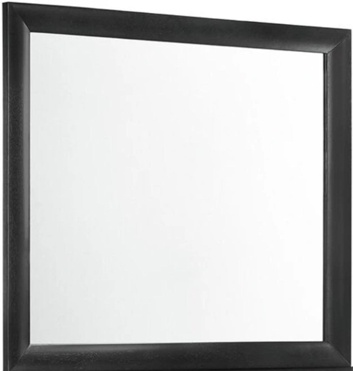 Elements International Emily Mirror in Black image