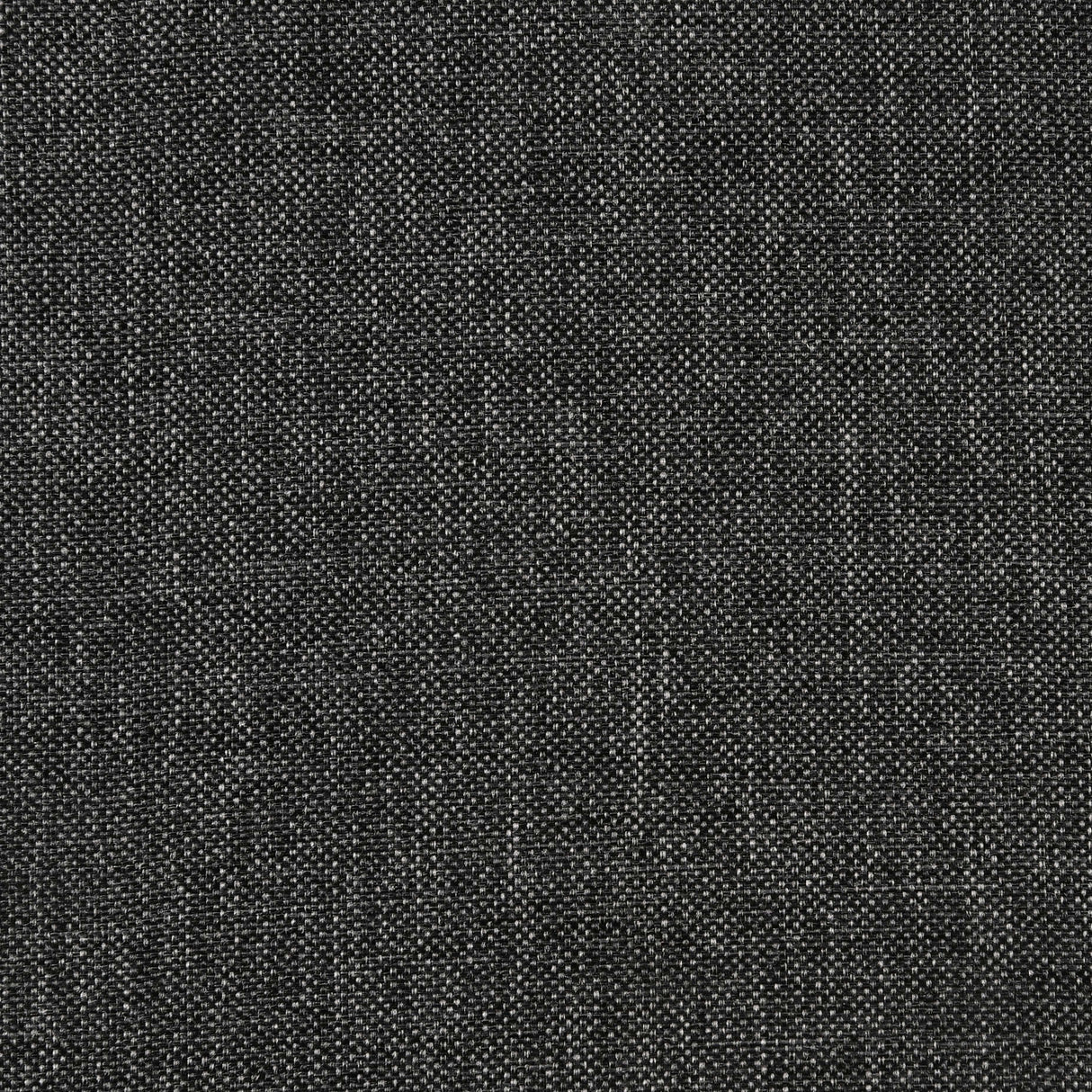 Catherine Dining Arm Chair