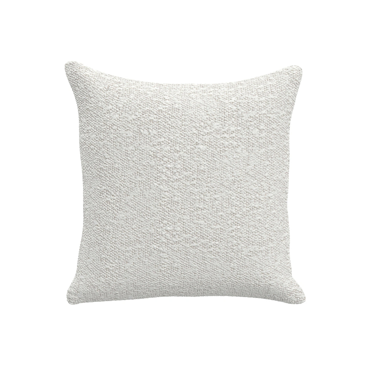 Throw Pillow (20" x 20")
