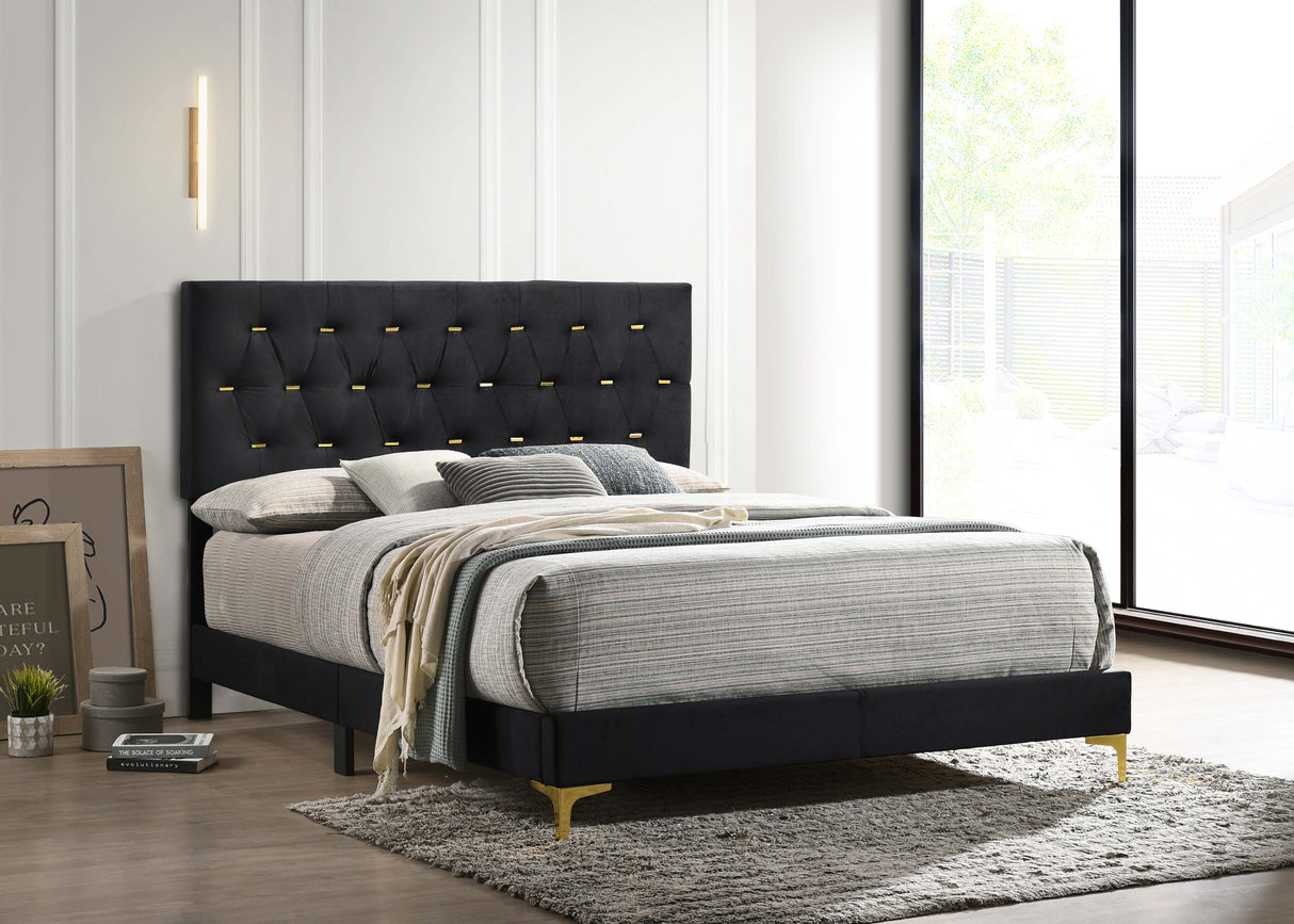 Kendall Panel Bed E.King, & Queen Black & White