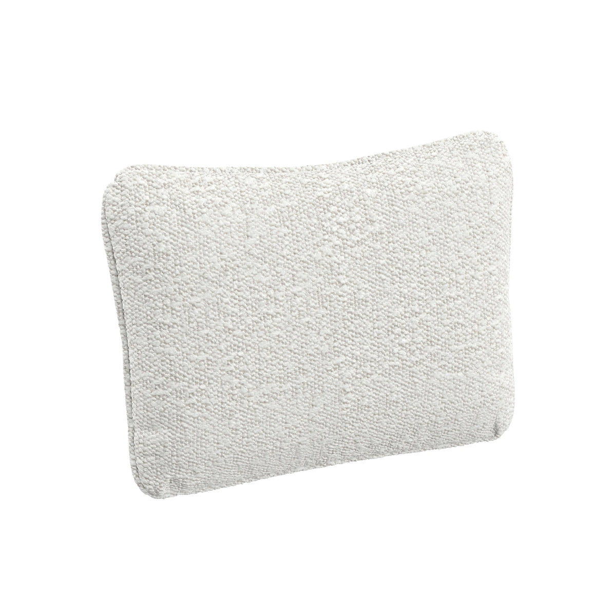 Throw Pillow (20" x 16")