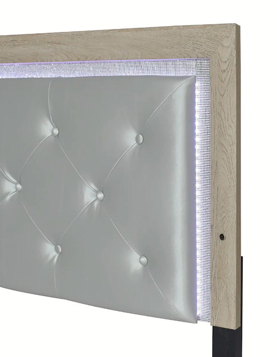 Jaylen Queen Upholstered Panel Bed in Gray