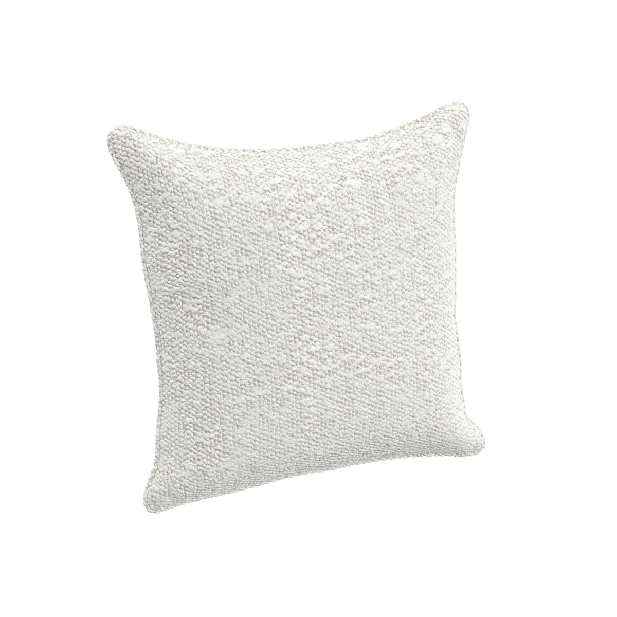 Throw Pillow (17" x 17")