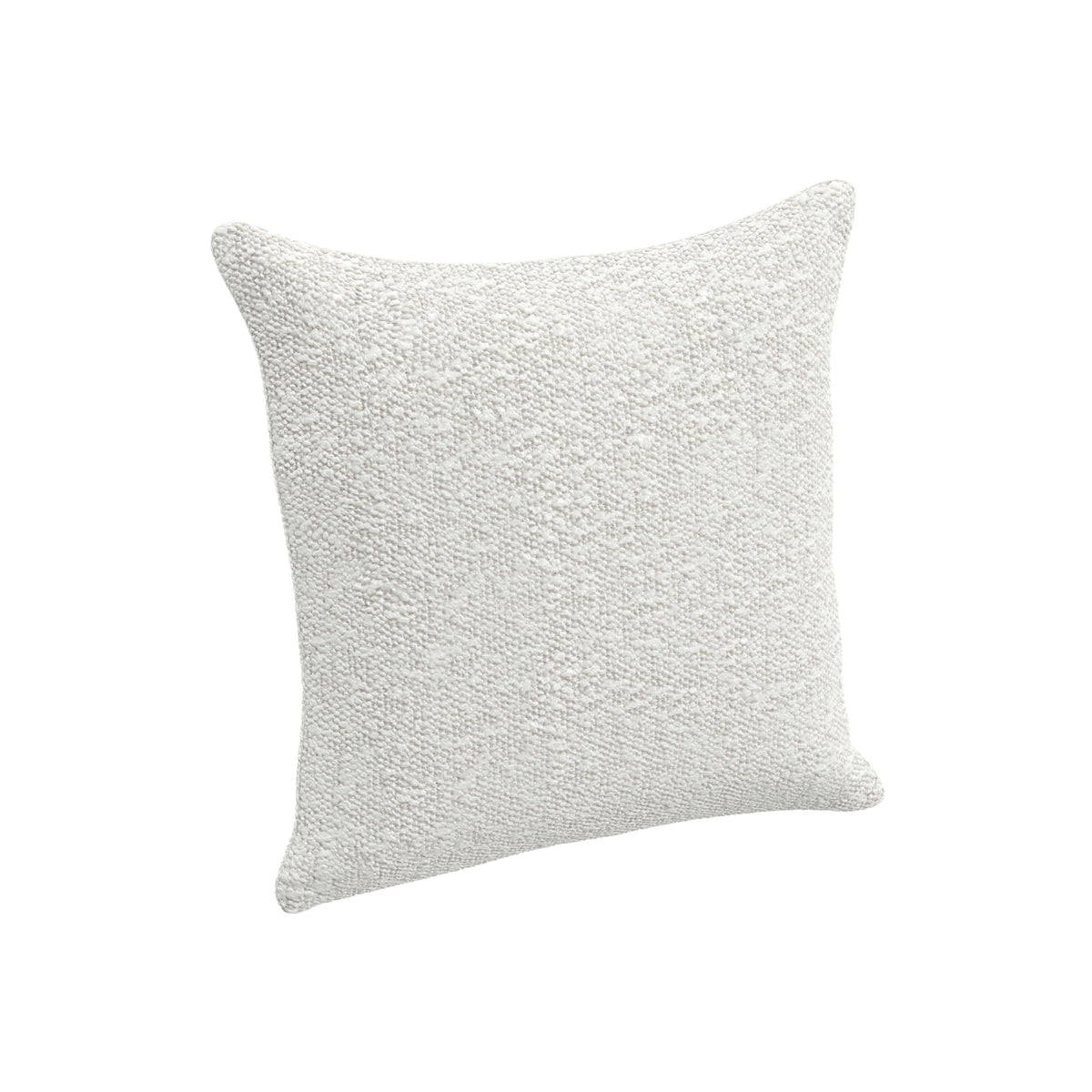 Throw Pillow (19" x 19")