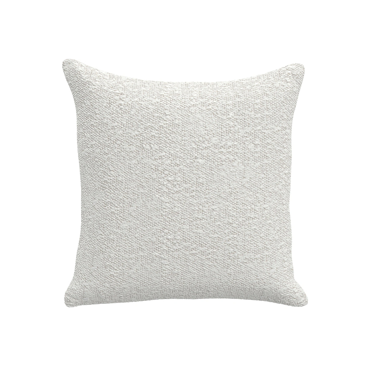 Throw Pillow (21" x 21")