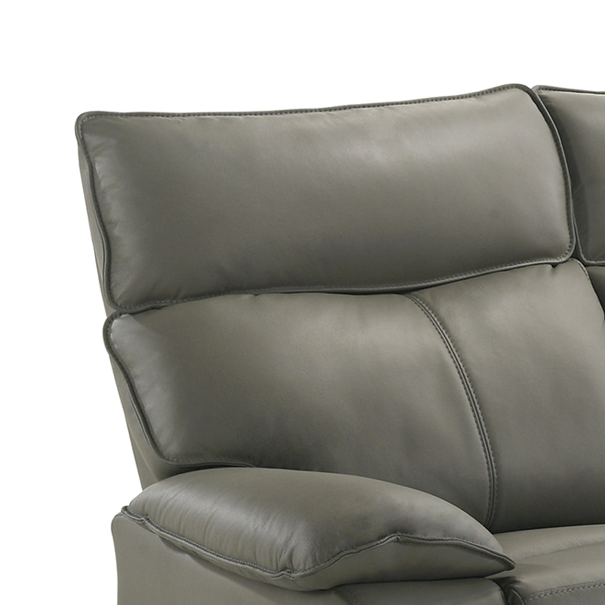 Wildcat Living Room Set in Aviarah Grey