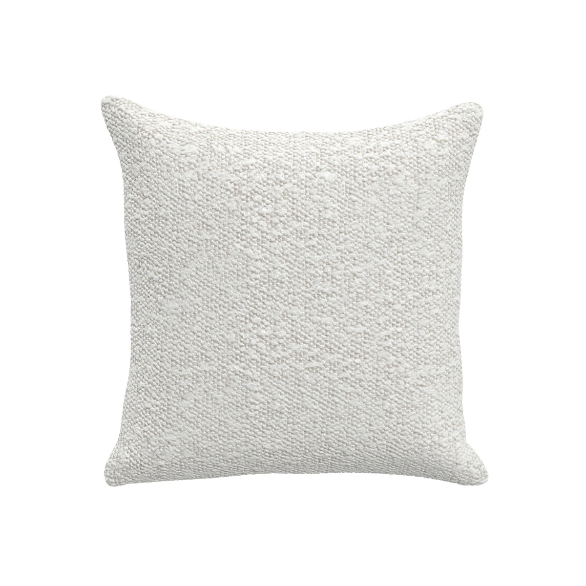 Throw Pillow (17" x 17")