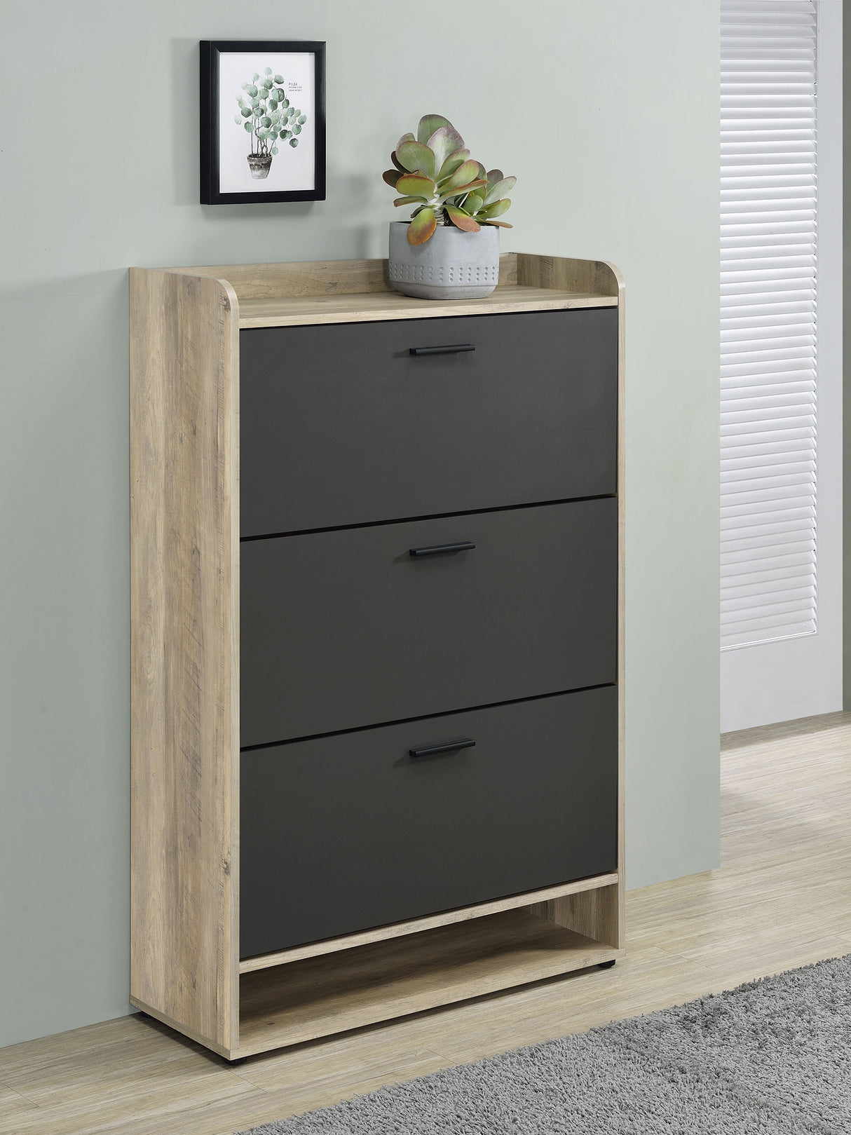 Denia Shoe Cabinet - galleria furniture outlet
