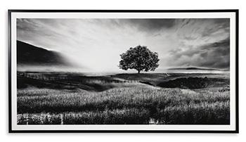 Deborland Wall Art - galleria furniture outlet