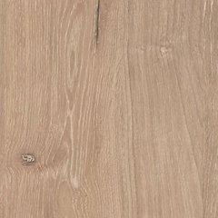 Cielden Bed - galleria furniture outlet