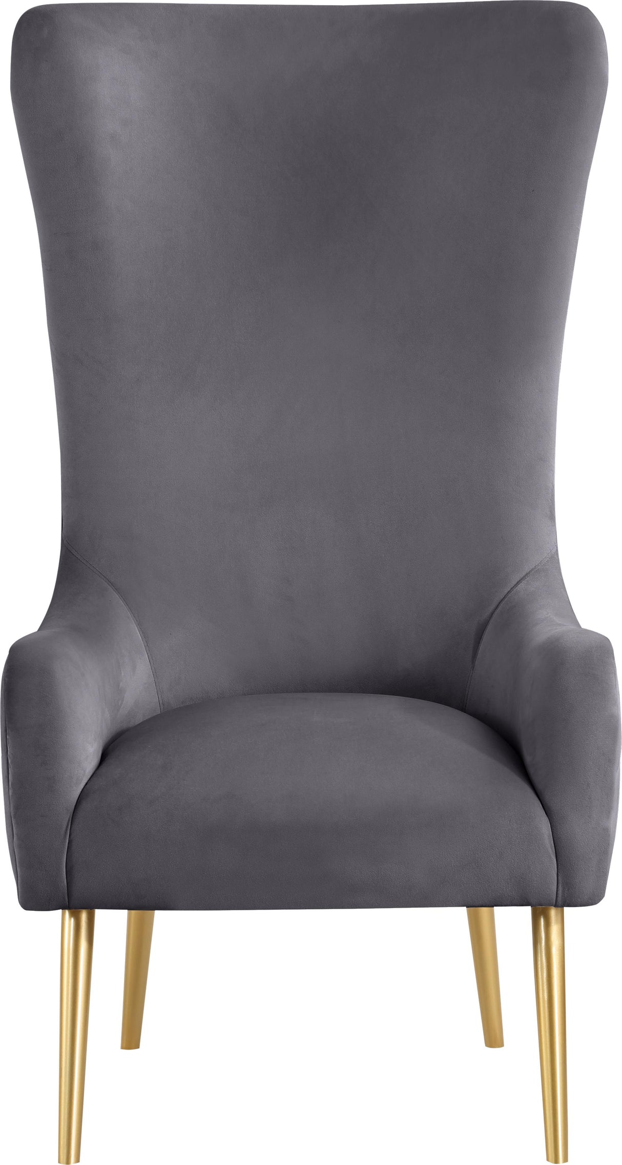 Alexander Grey Velvet Accent Chair - galleria furniture outlet