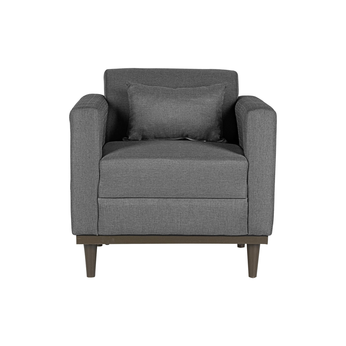 AIDEN CHAIR W/1 THROW PILLOW-SILVER GRAY - galleria furniture outlet