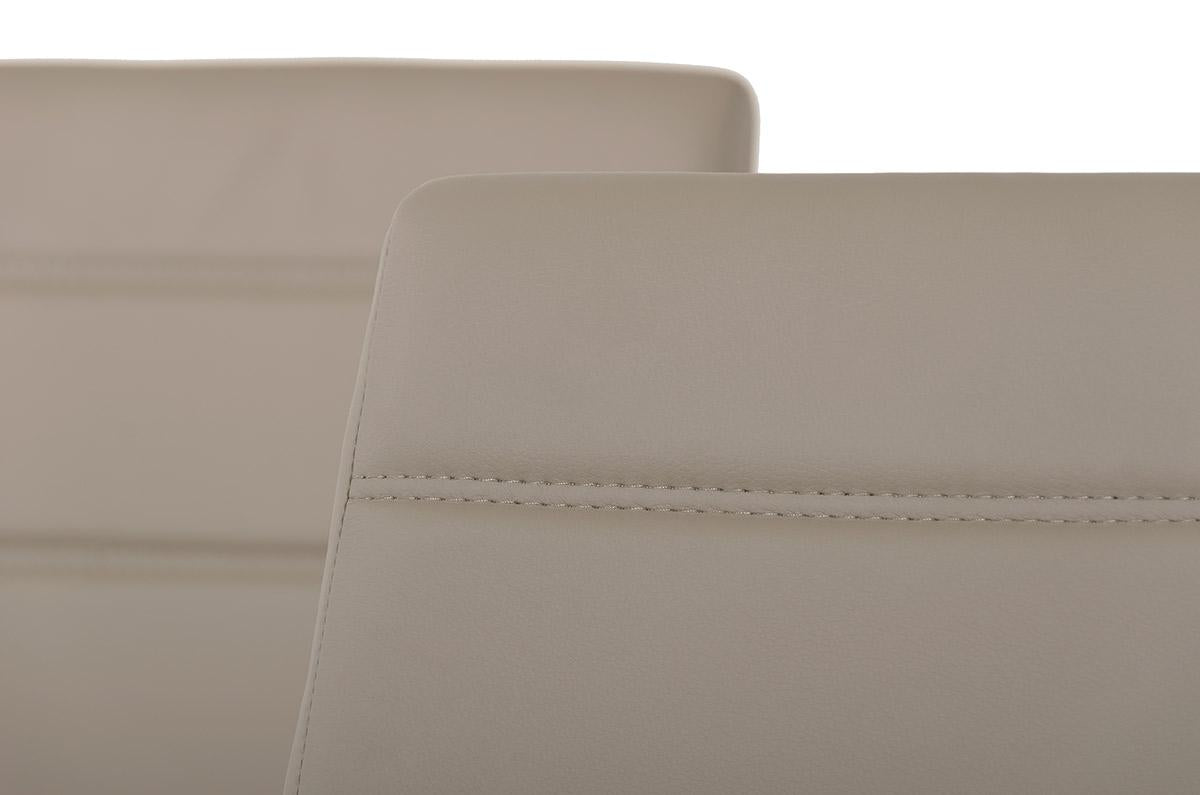 Liev Modern Dining Chair