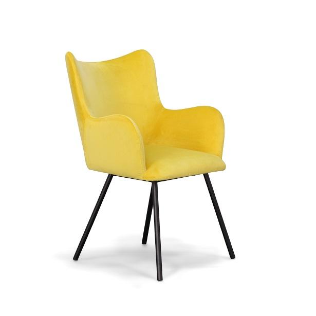Modrest Barrett Modern Dining Chair - galleria furniture outlet