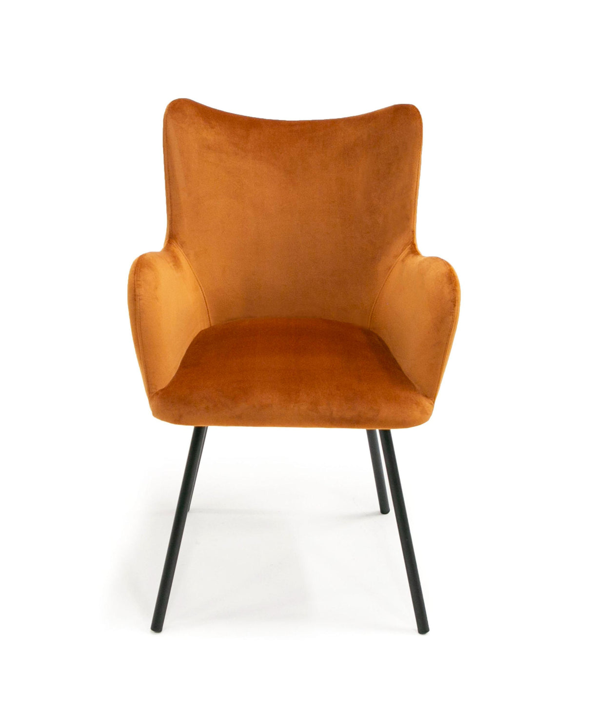 Modrest Barrett Modern Dining Chair - galleria furniture outlet