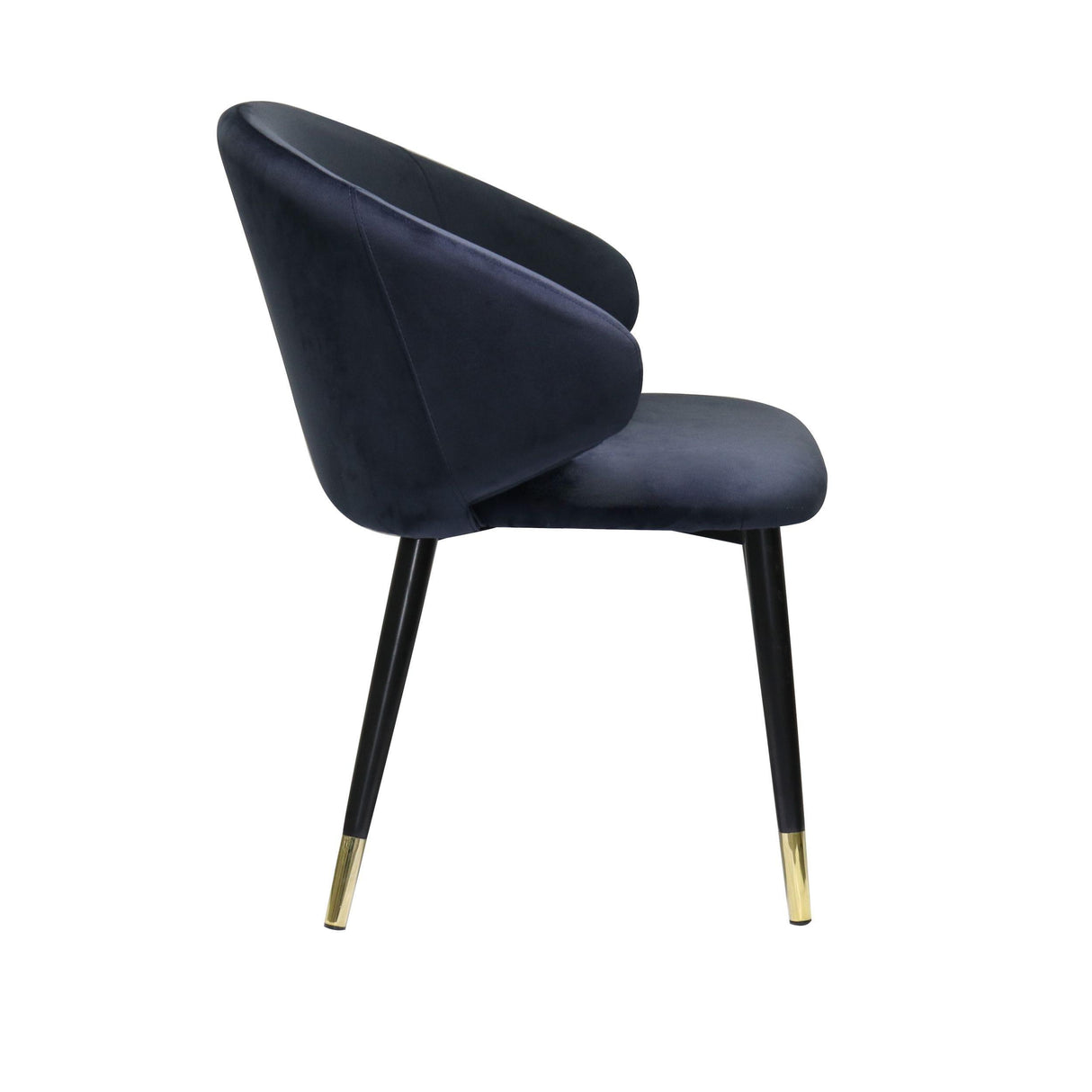 Modrest Elon Modern Dining Chair - galleria furniture outlet