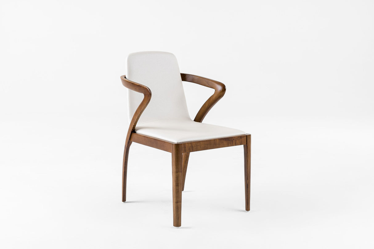 Modrest Falcon Mid-Century Dining Chair