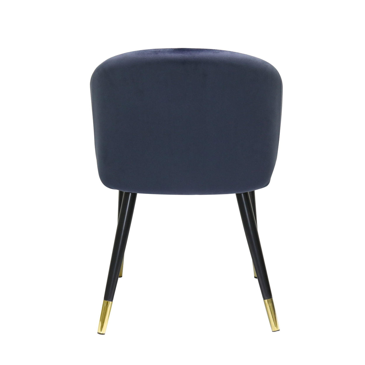 Modrest Elon Modern Dining Chair - galleria furniture outlet