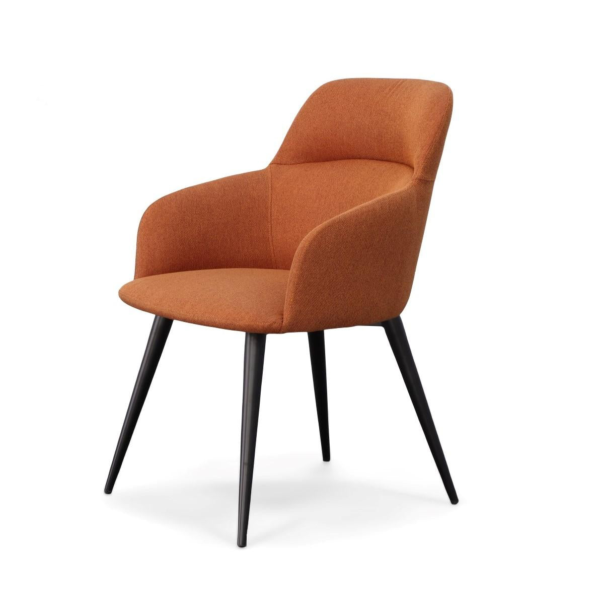 Modrest Scranton Modern Dining Chair - galleria furniture outlet