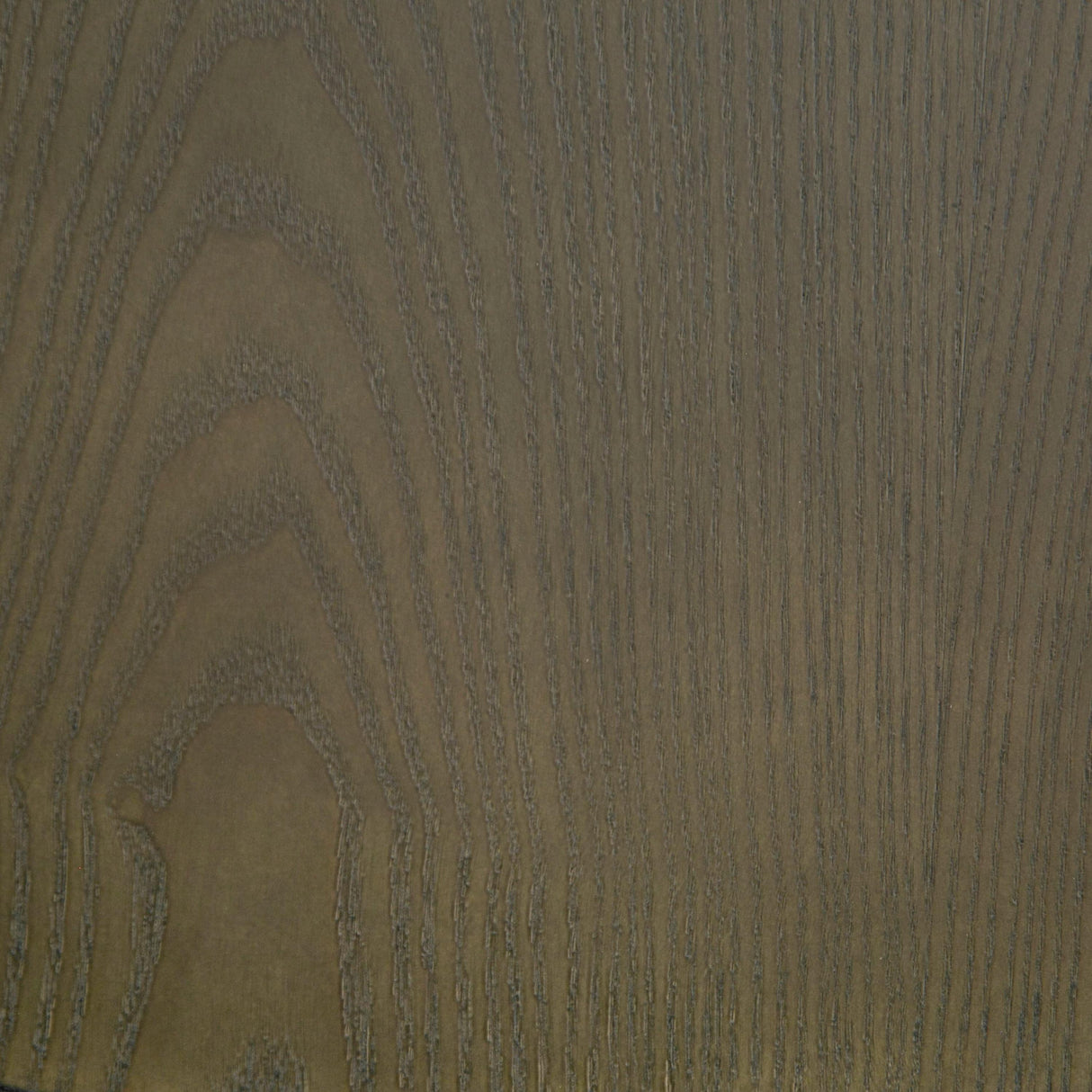 Modrest Strauss Contemporary Coffee Table