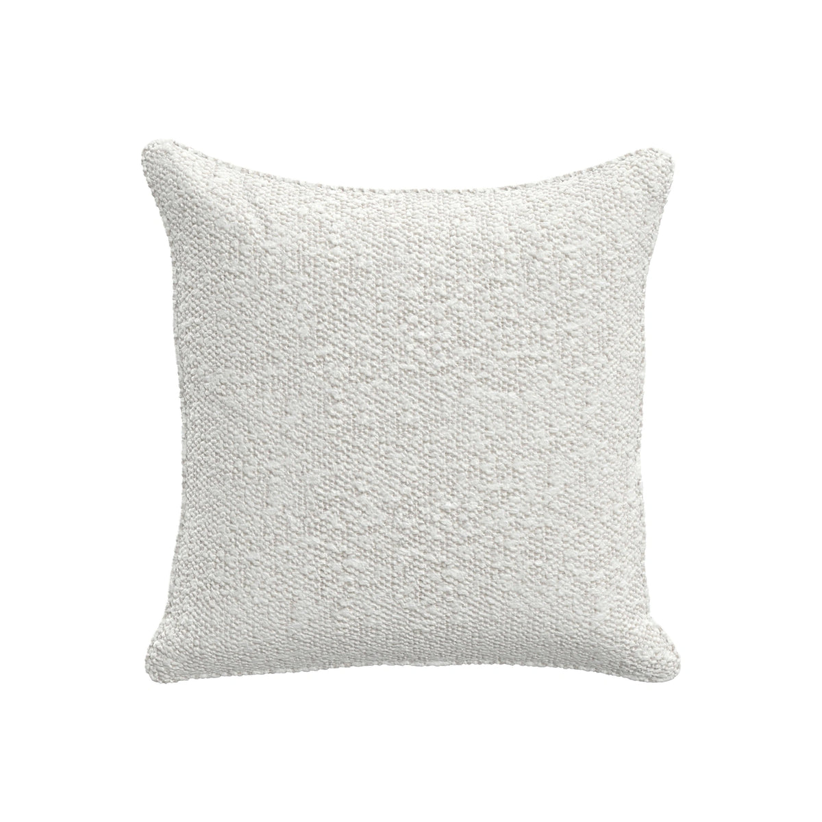 Throw Pillow (17" x 17")