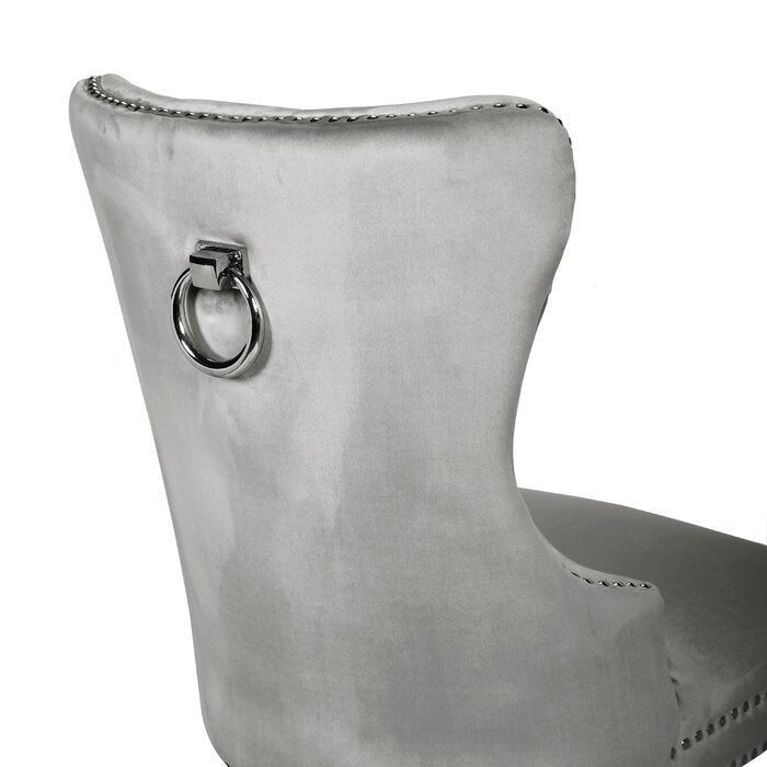 Galaxy Home Erica Stainless Steel Legs Dining Chair (Set of 2) in Light Grey
