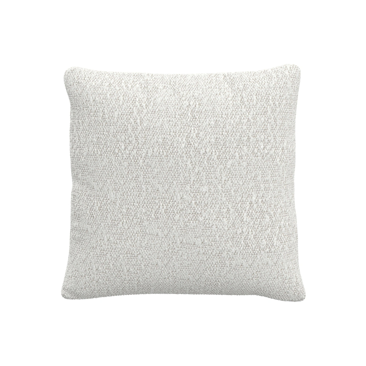 Throw Pillow (20" x 20")