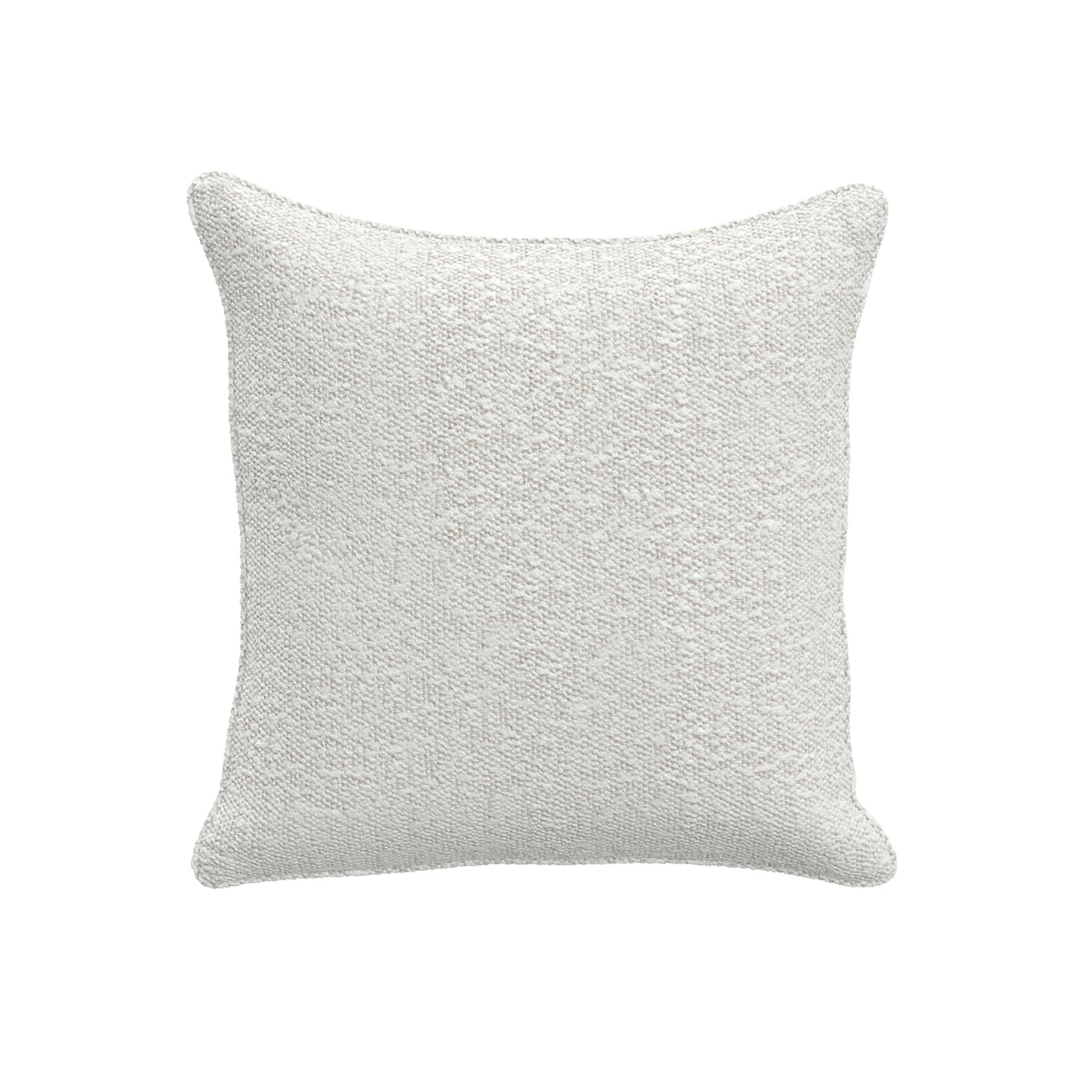 Throw Pillow (22" x 22")