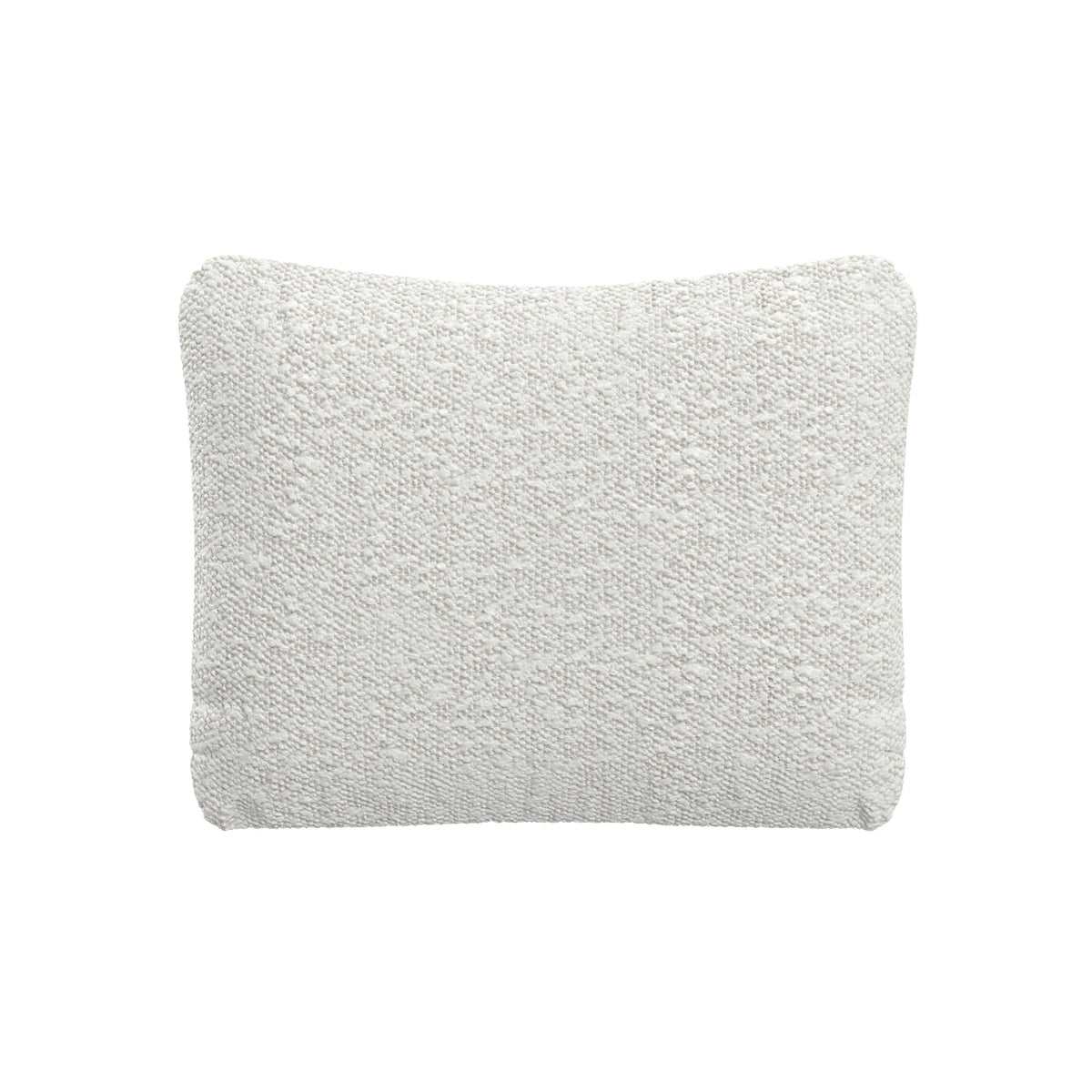 Throw Pillow (20" x 16")