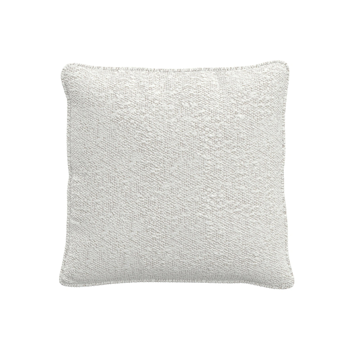 Throw Pillow (20" x 20")