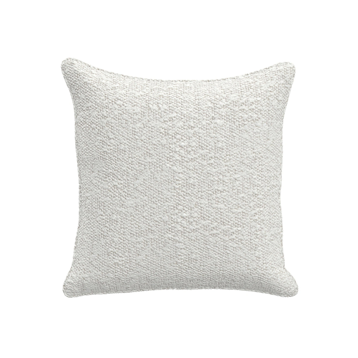 Throw Pillow (19" x 19")