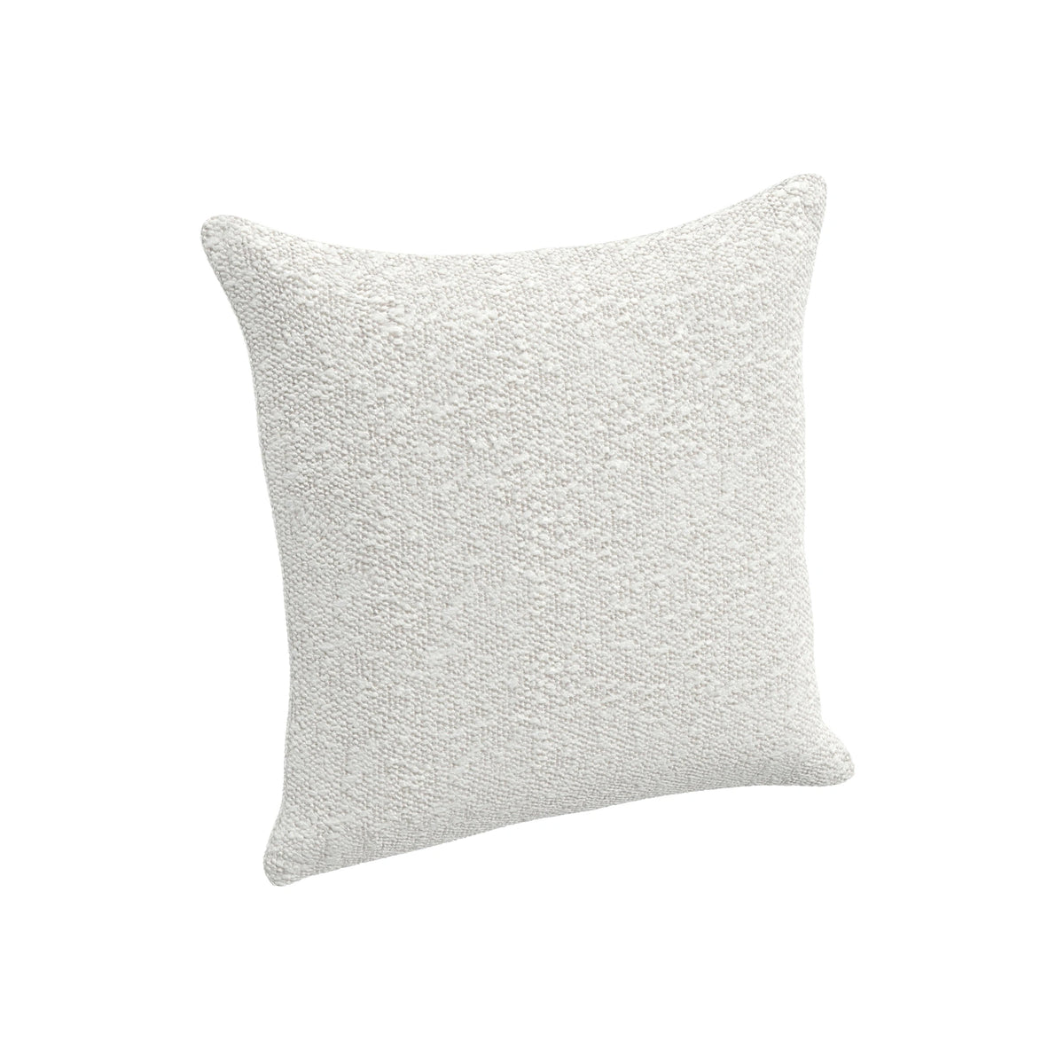 Throw Pillow (22" x 22")