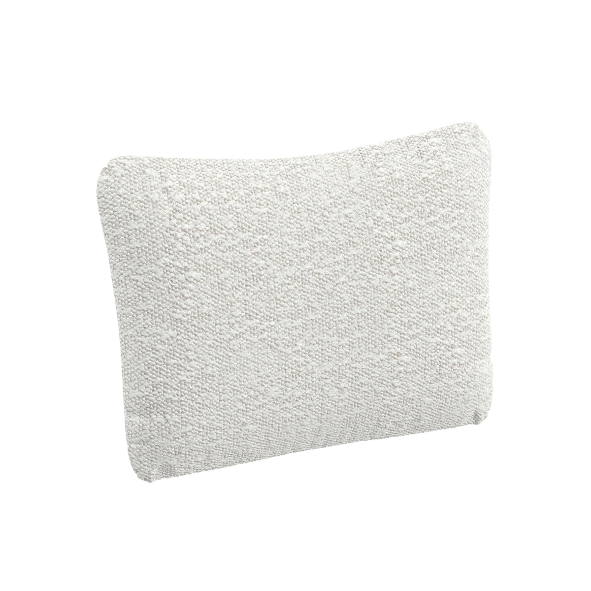 Throw Pillow (20" x 16")
