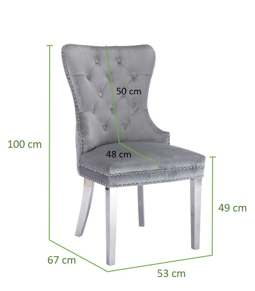 Galaxy Home Simba Stainless Steel Legs Dining Chair (Set of 2) in Silver