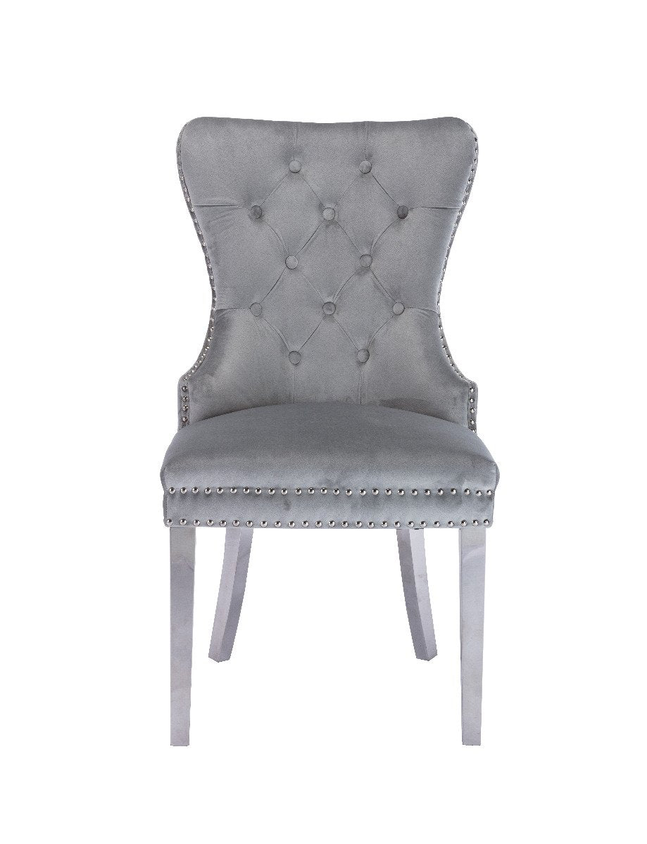 Galaxy Home Simba Stainless Steel Legs Dining Chair (Set of 2) in Silver