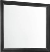 Elements International Emily Mirror in Black image
