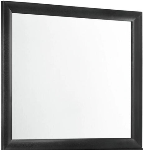 Elements International Emily Mirror in Black image