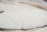 Harmony Brown Bed Group