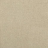 Baney Dining Side Chair