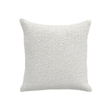 Throw Pillow (20" x 20")