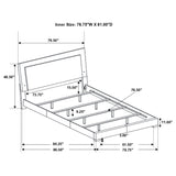 Felicity Panel Bed with LED Lighting