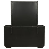 Leandro Dresser with Mirror