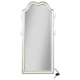 Evangeline Floor Mirror with LED Lighting