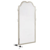 Evangeline Floor Mirror with LED Lighting