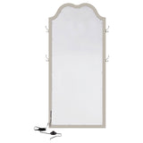 Evangeline Floor Mirror with LED Lighting