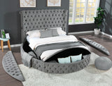 Hazel Bed