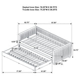 Brodie Daybed with Trundle