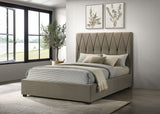 Delsea Panel Platform Bed