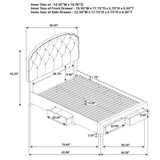 Marianna Panel Platform Storage Bed