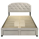 Marianna Panel Platform Storage Bed